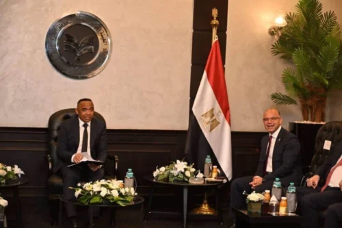 وزير الاستثمار