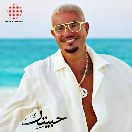 موعد طرح ألبوم «حبيتك» 