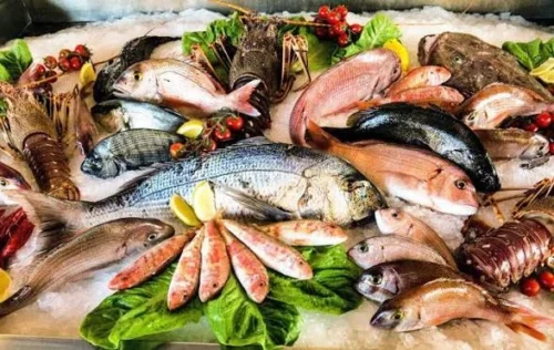 أسعار السمك اليوم 