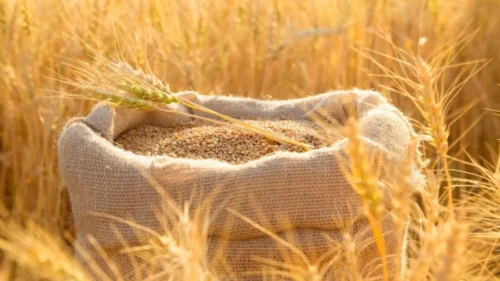 هجمات البحر الأسود