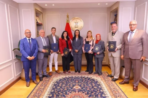 مشروعات متناهية الصغر 