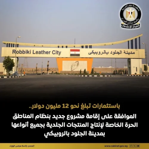 صناعة الجلود والأحذية بالروبيكي