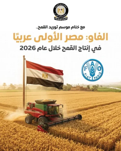 القمح