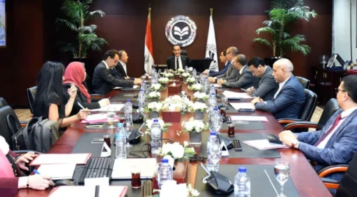     المنطقة الاستثمارية بأبو رواش